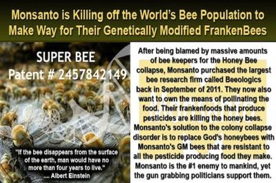Monsanto Genetically Engineering Bees and Their Patent Number