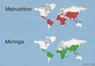 Malnutrition Map (Courtesy of www.treesforlife.org)