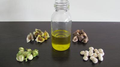 Moringa Seeds and Oil