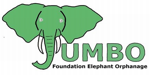 Jumbo Foundation Link to Paypal