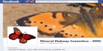 Facebook Home Page