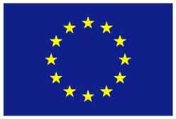 EU Flag