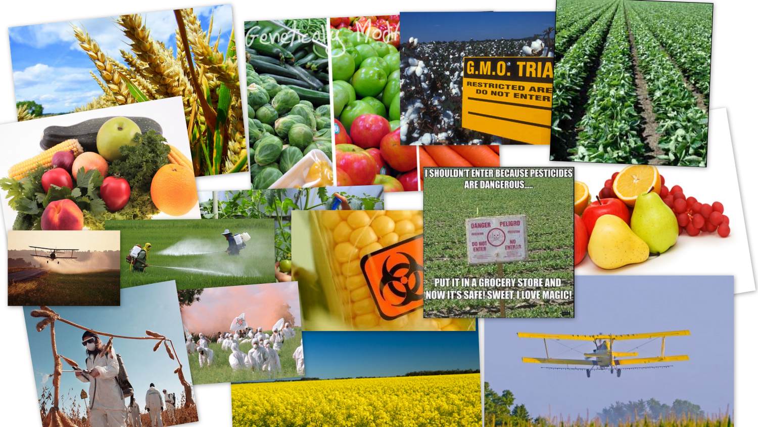 GMO Food and our World