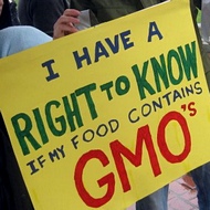 GMO Right to Know