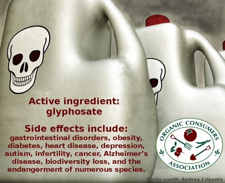 Herbicide GMO Types