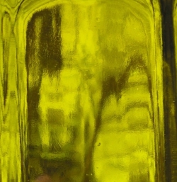 Natural Beauty Moringa Oil with Light Yellow Hue