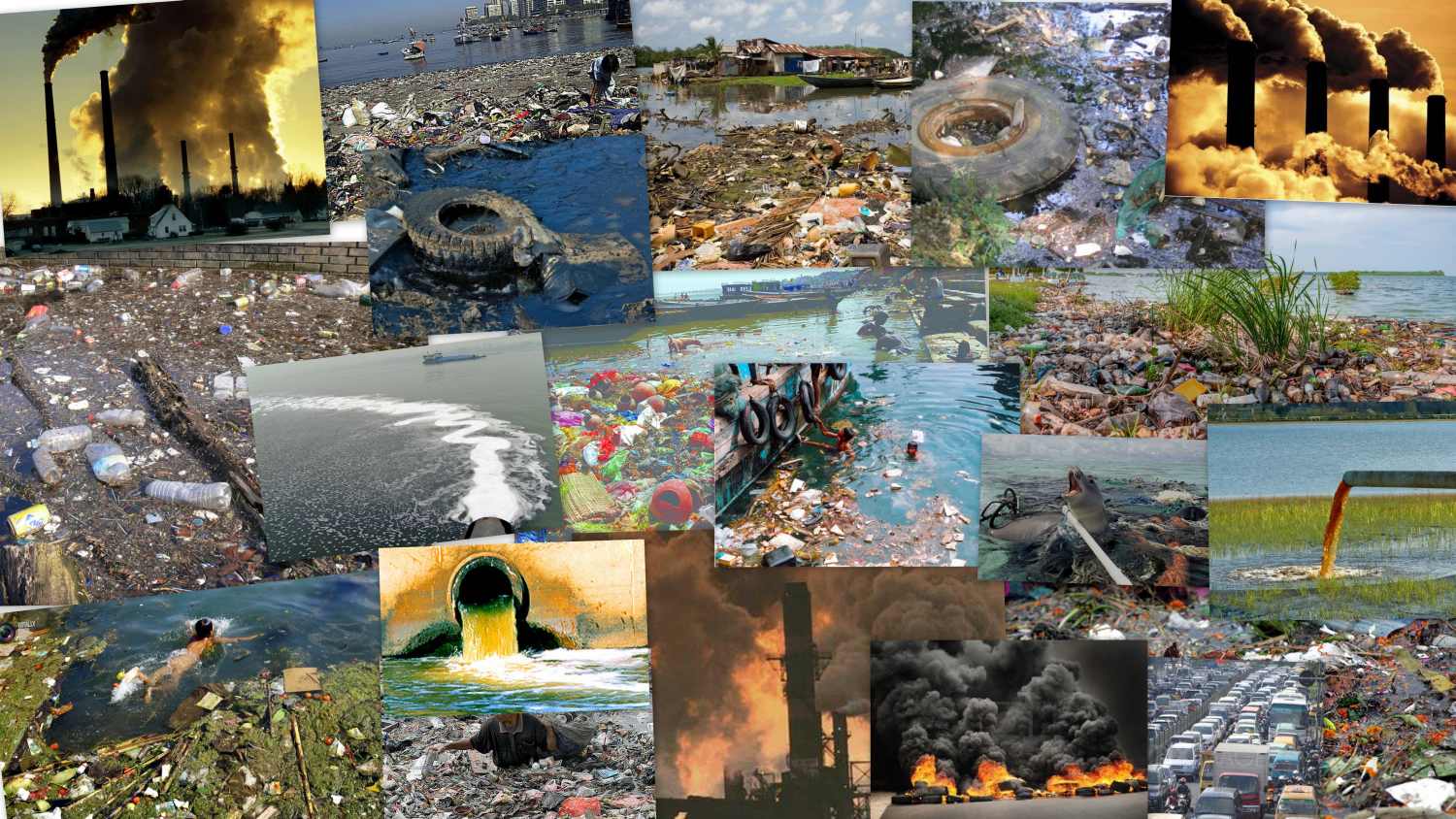 Water Pollution Collage