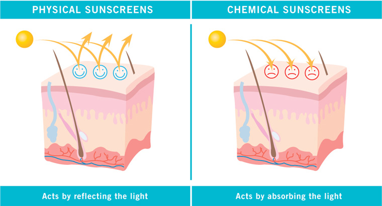 Physical and Chemical Sunscreens