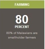 80% of Malawians are Smallholder Farmers