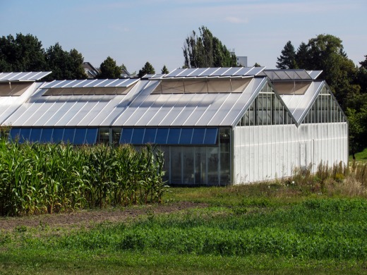 Organic Farm