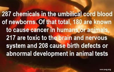 287 Chemicals in the Umbilical Cord Blood of Newborns
