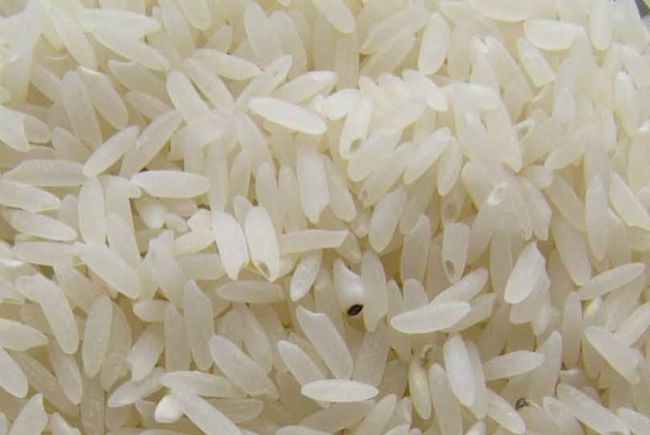 Ordinary Rice