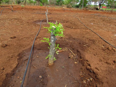 Natural Resources Water Management
