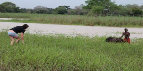 Visitors to the Park Arrive to Help