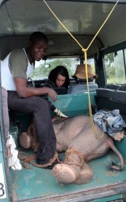 Friends that Will Drive with me to Mzuzu
