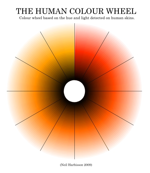 Best Foundation Makeup Human Skin Colour Wheel