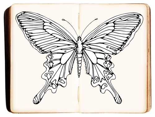 Butterfly Template