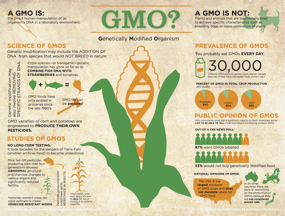 GMO Infographic