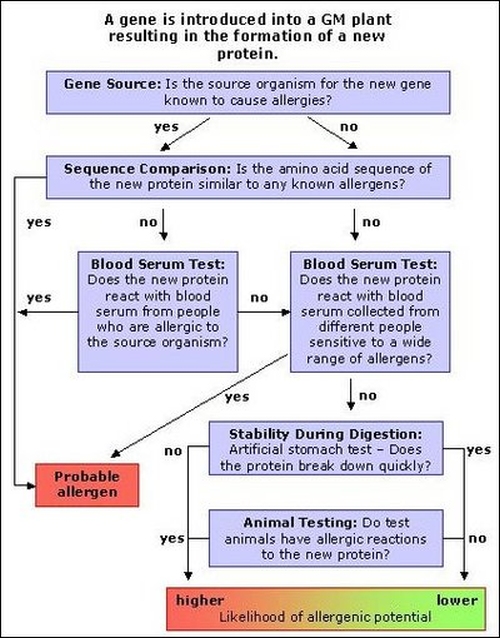 How to Test for Toxins in GMO