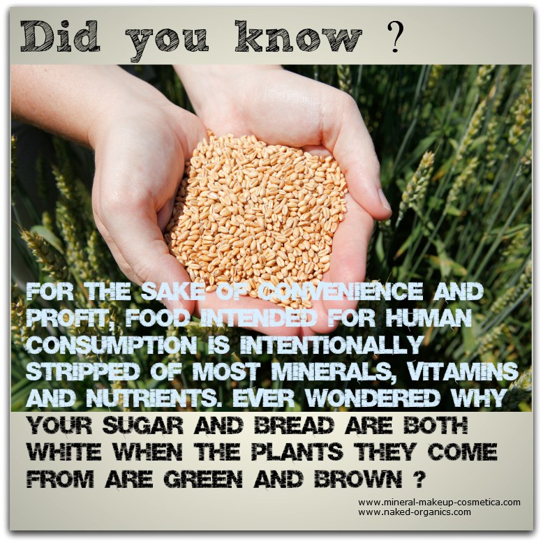 Infographic - Processed Foods Have Reduced. Vitamins, Nutrients and Minerals