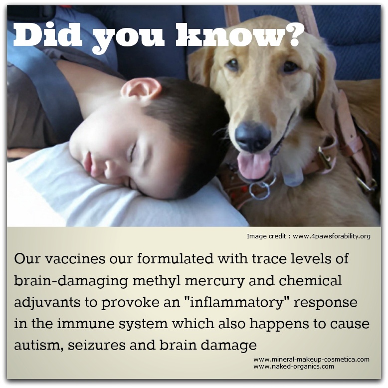 Infographic - Several Modern Day Vaccines have Serious Side Effects