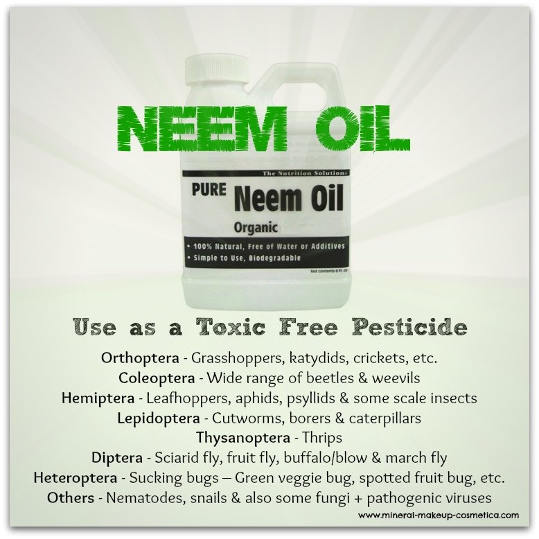 Infographic - Neem Oil as a Toxic Free Insecticide