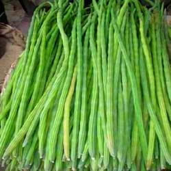 Moringa Natural Products Pods or Drumsticks