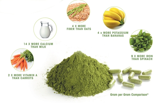 Moringa Powder Nutrition Values