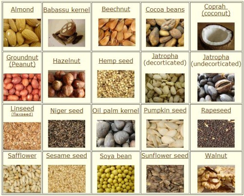 Various Seed Types that can be Pressed using PITEBA