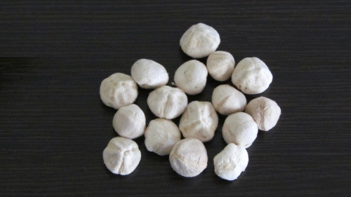 Moringa Seeds De-Shelled (Decorticated)