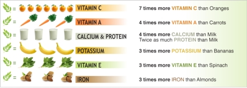 Moringa Comparative Table