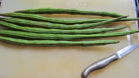 Fresh Moringa Pods