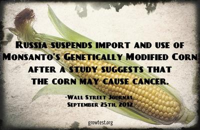 Russia Suspends Monsanto's GM Corn due to Cancer Risk