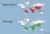 Malnutrition Map (Courtesy of www.treesforlife.org)